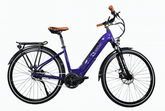 Responsive low-maintenance Commuter E-Bike
