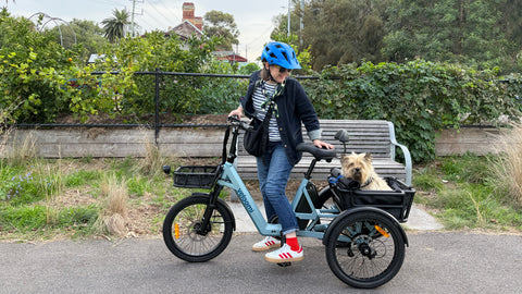 Veloomi Caddi Tricycle