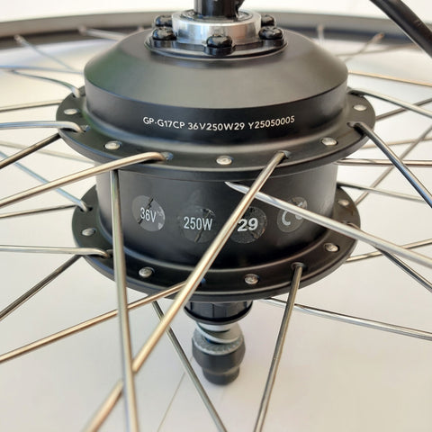 Rocket Kit: 250w Rear Hub Motor with Battery