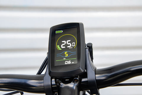 TalkSense Kit: Rear 250w Hub Motor with Battery