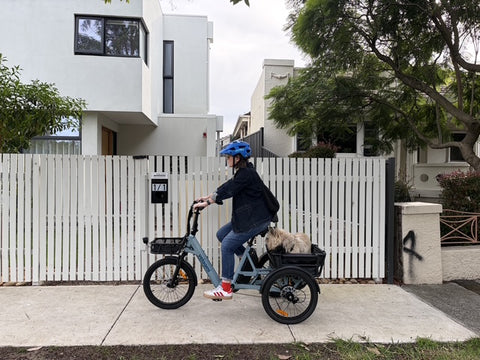 Veloomi Caddi Tricycle