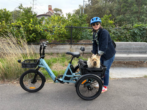 Veloomi Caddi Tricycle