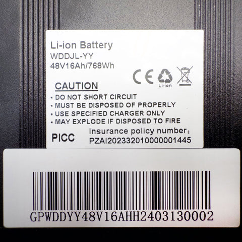 BATTERY AND CHARGER 48V 16Ah Fish Battery