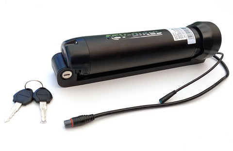 Rocket Kit: 250w Rear Hub Motor with Battery