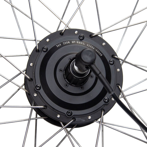 TalkSense Kit: Rear 250w Hub Motor with Battery