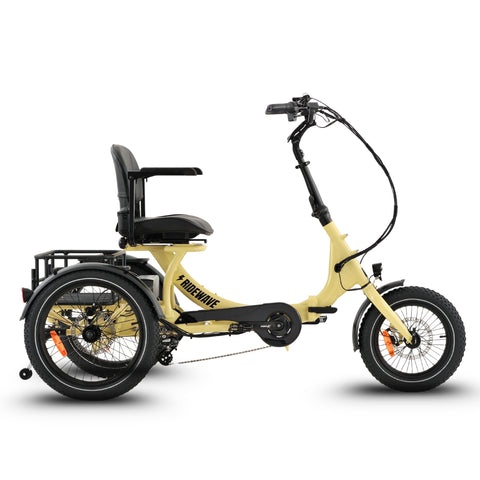 Platypus Folding Tricycle